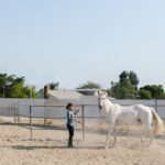 découvrez des exercices doux adaptés à tous pour améliorer votre bien-être en douceur et sans effort excessif.