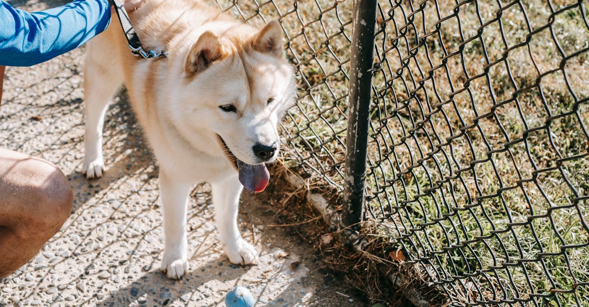 découvrez des exercices doux adaptés à tous les niveaux pour améliorer votre bien-être et votre souplesse en toute sécurité.