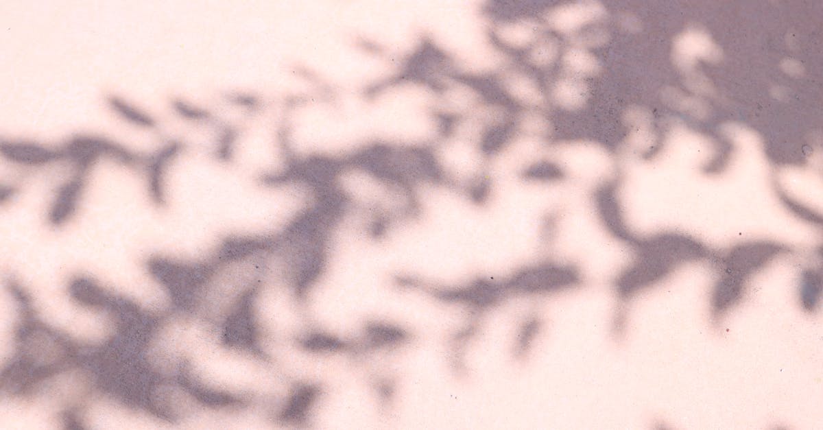 découvrez des informations essentielles sur l'arthrite, ses causes, symptômes et options de traitement pour mieux gérer cette maladie inflammatoire des articulations.