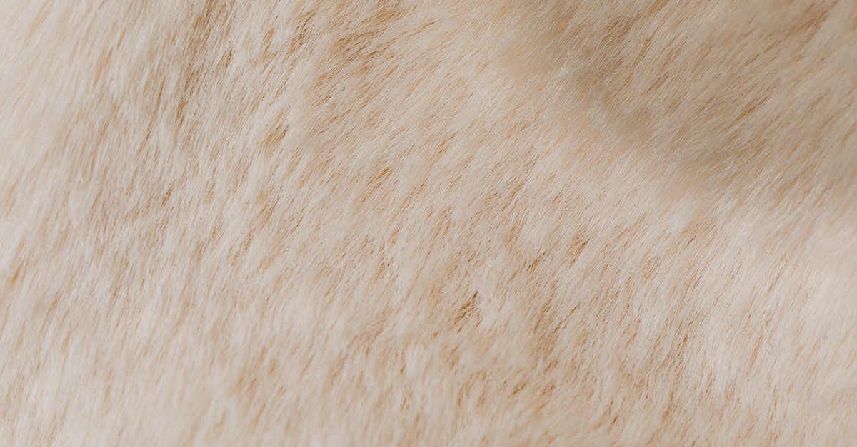 découvrez les causes, symptômes et traitements de l'arthrite pour mieux comprendre cette maladie et améliorer votre qualité de vie.