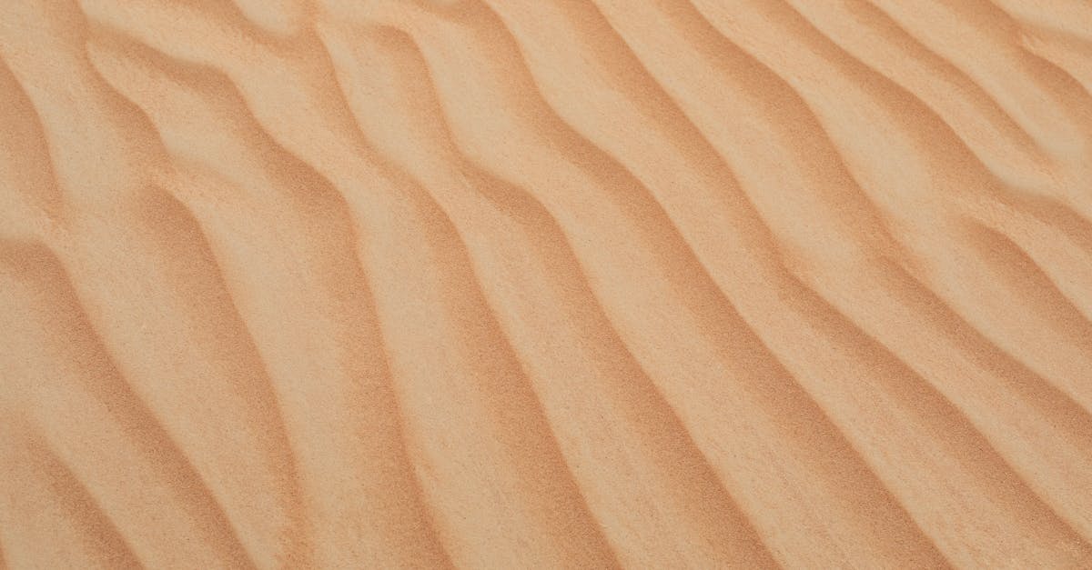 découvrez tout ce qu'il faut savoir sur l'ostéoarthrite : causes, symptômes, traitements et conseils pour mieux gérer cette maladie articulaire courante.