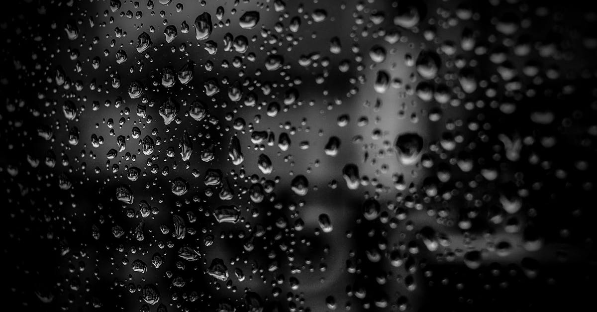 l'ostéoarthrite est une maladie articulaire dégénérative caractérisée par la dégradation du cartilage, provoquant douleurs et raideurs. découvrez ses symptômes, causes et traitements.