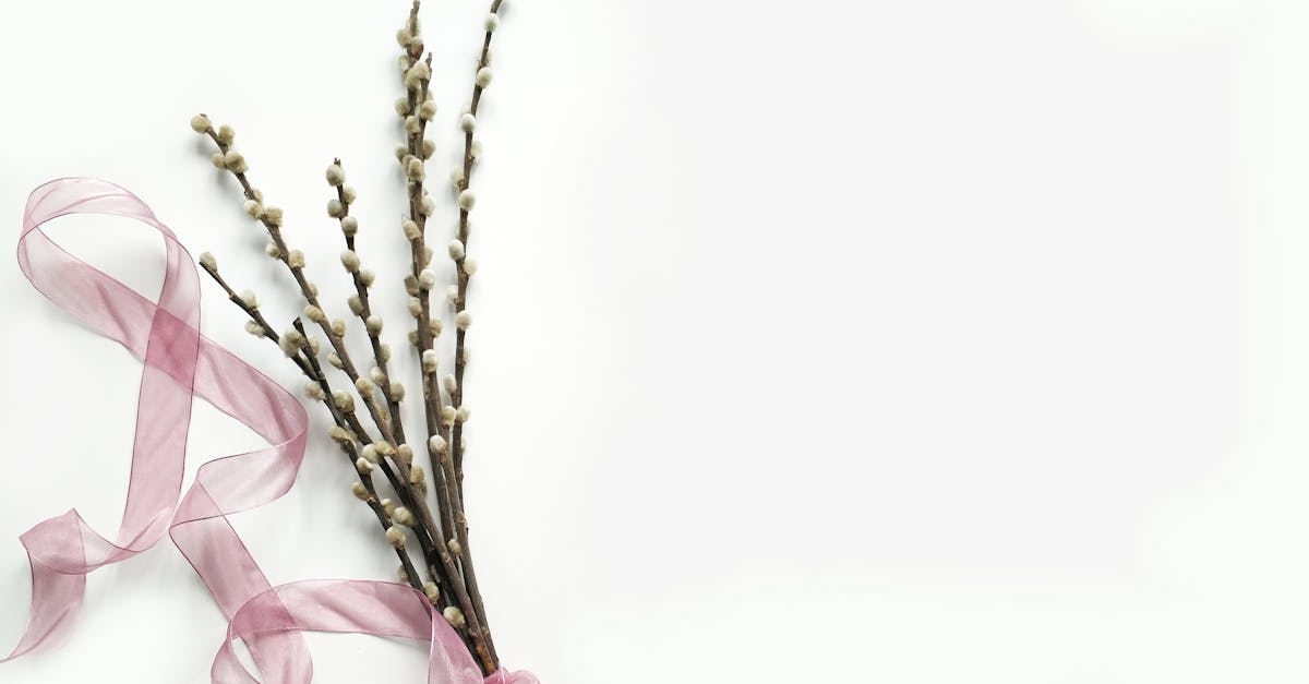 découvrez tout sur l'ostéoarthrite, une maladie articulaire courante, ses symptômes, causes, traitements et conseils pour mieux vivre au quotidien.