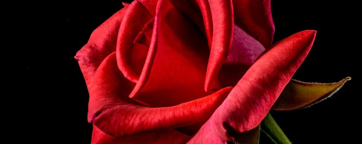 découvrez tout ce qu'il faut savoir sur l'arthrose : symptômes, causes, traitements et conseils pour gérer cette affection articulaire chronique.