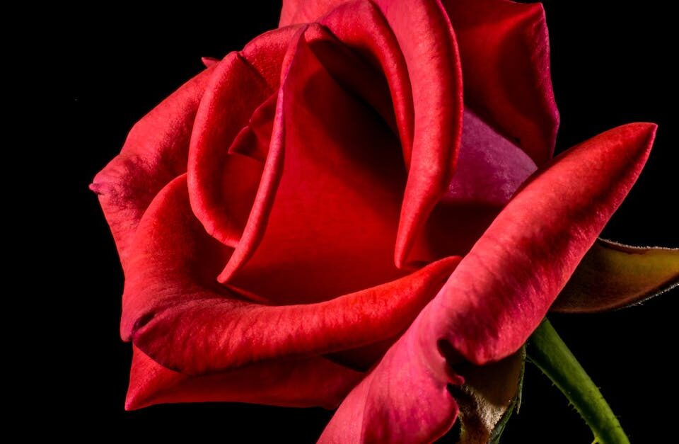 découvrez tout ce qu'il faut savoir sur l'arthrose : symptômes, causes, traitements et conseils pour gérer cette affection articulaire chronique.