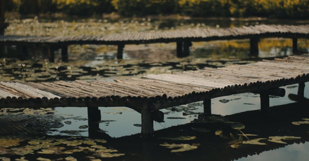 découvrez comment la décompression peut aider à soulager les symptômes de l'arthrose et améliorer la mobilité articulaire.