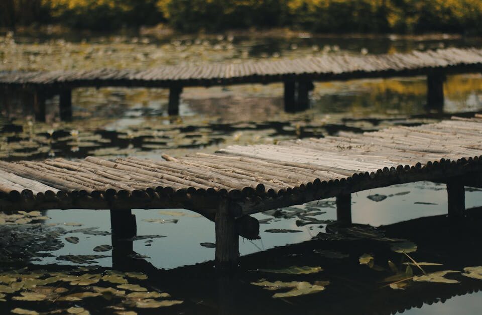 découvrez comment la décompression peut aider à soulager les symptômes de l'arthrose et améliorer la mobilité articulaire.