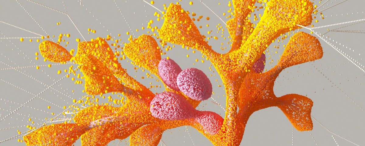 la décompression neurovertébrale est une technique thérapeutique non invasive visant à soulager la pression sur les nerfs rachidiens, réduisant ainsi la douleur et favorisant la guérison des pathologies vertébrales.