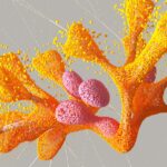 la décompression neurovertébrale est une technique thérapeutique non invasive visant à soulager la pression sur les nerfs rachidiens, réduisant ainsi la douleur et favorisant la guérison des pathologies vertébrales.