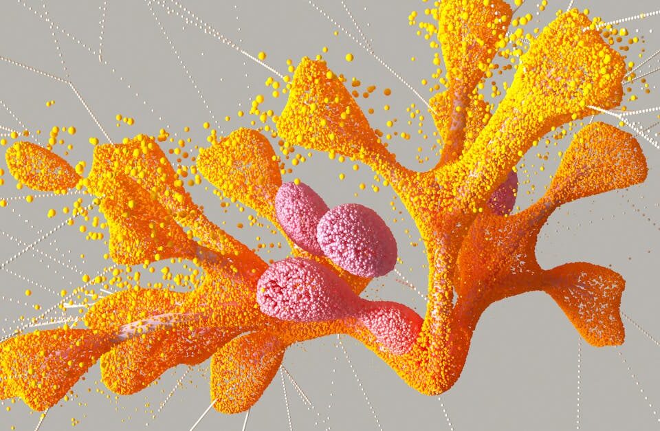 la décompression neurovertébrale est une technique thérapeutique non invasive visant à soulager la pression sur les nerfs rachidiens, réduisant ainsi la douleur et favorisant la guérison des pathologies vertébrales.