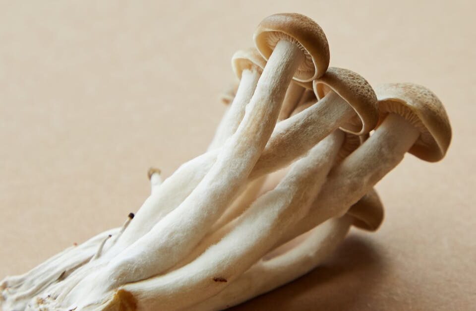 découvrez les bienfaits de l'ostéopathie pour soulager les douleurs et améliorer votre bien-être grâce à des techniques manuelles adaptées à chaque patient.